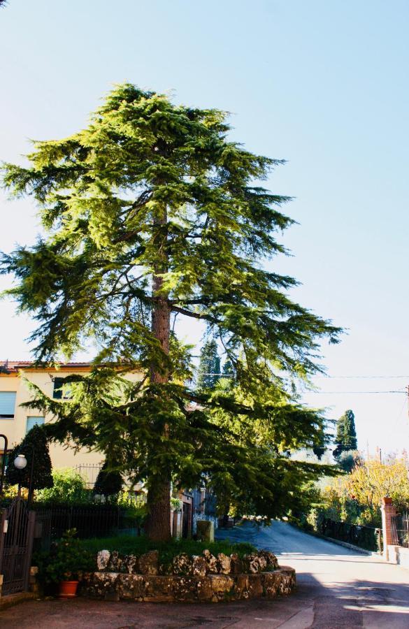 Apartamento La Torre Di Caprera Siena Exterior foto